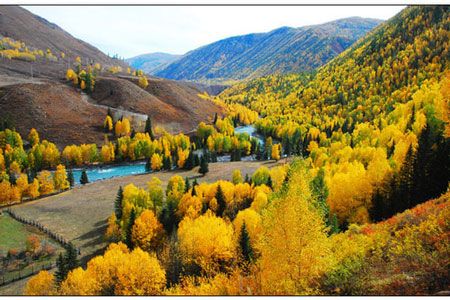 九月傳奇3：喀納斯、禾木、可可托海、五彩灣、胡楊七日行